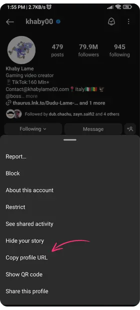 copy the profile url