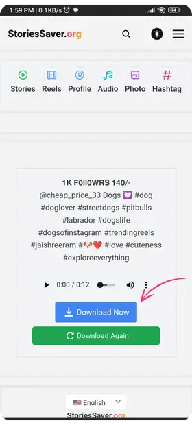 after the process click on download reels audio